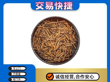 黑河市孙吴高价回收散虫草